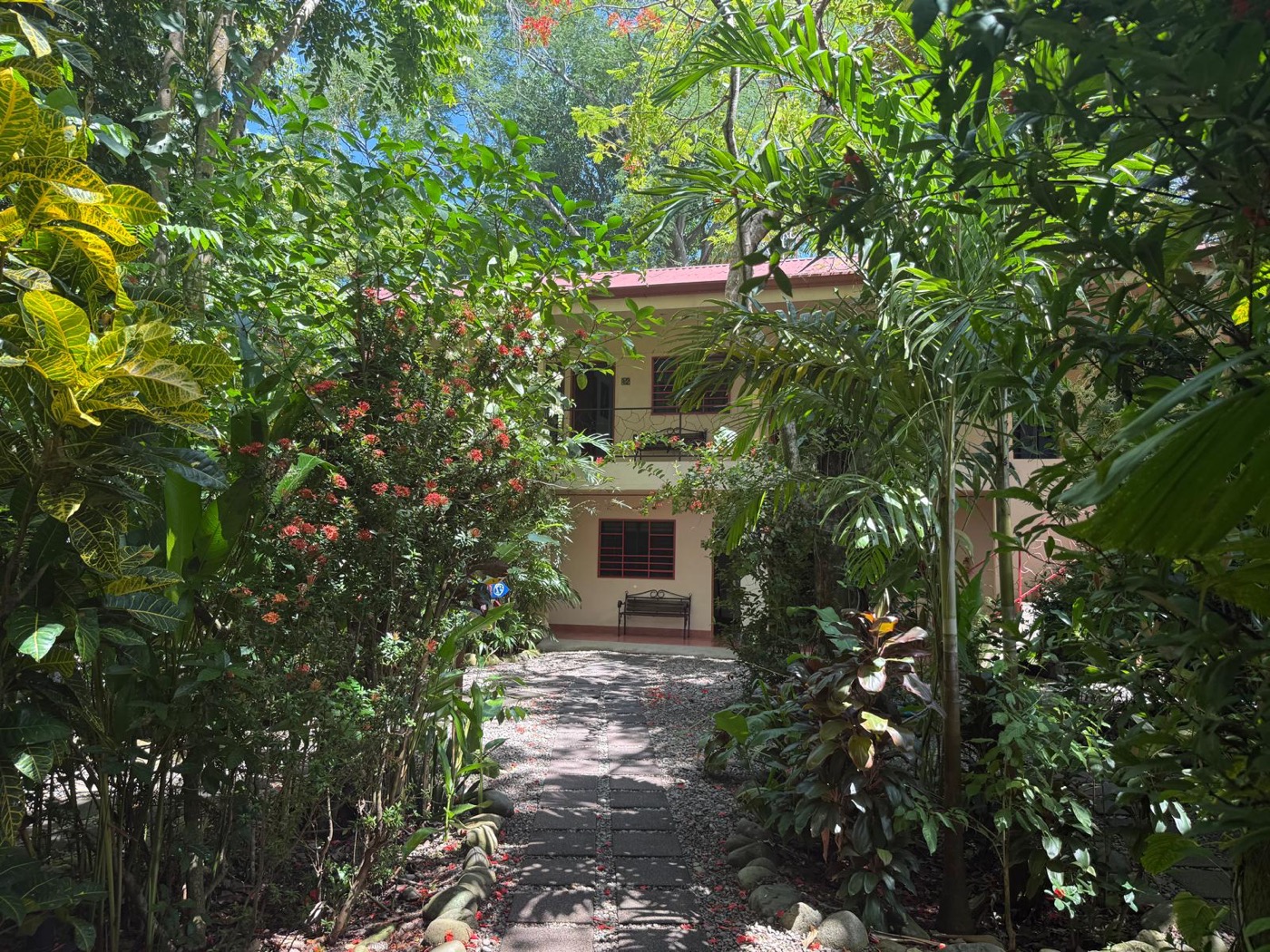 Tropical garden